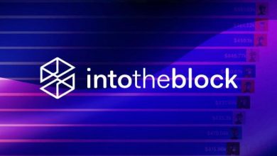 IntoTheBlock از تاریخچه ارزش بازار ارزهای دیجیتال رونمایی کرد